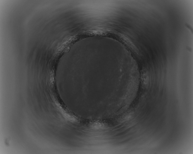 X0000101980593200807181127