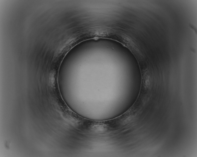 X0000101980595200807181127