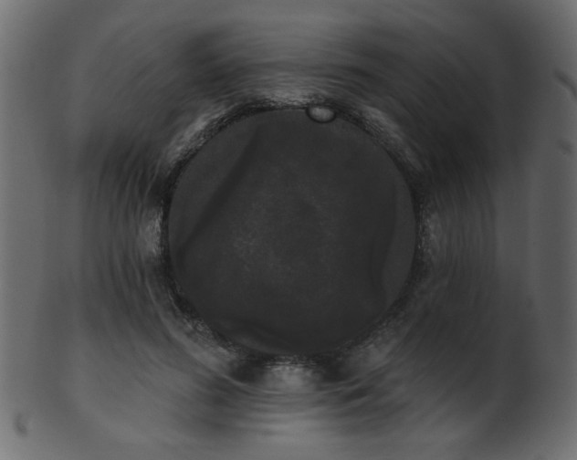 X0000101980596200807181127