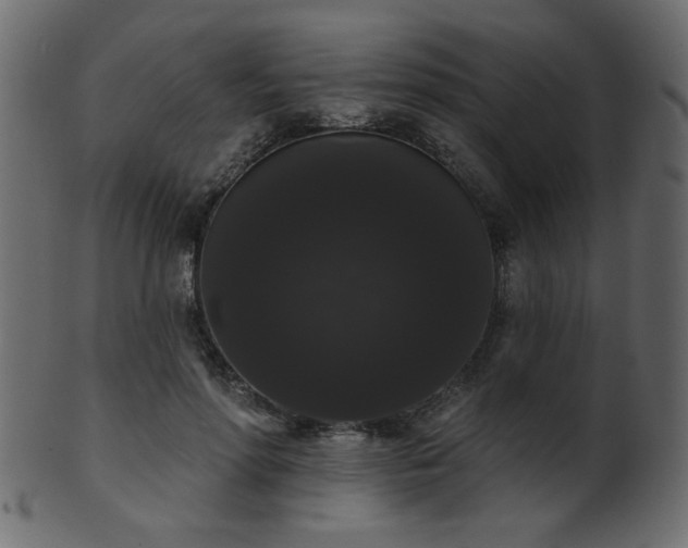 X0000101980598200807181126