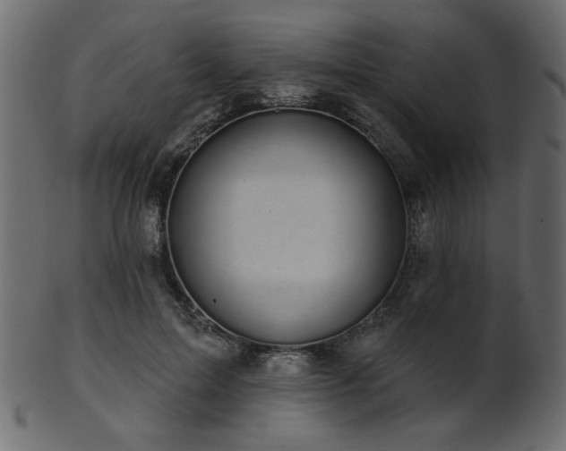 X0000101980599200807181126