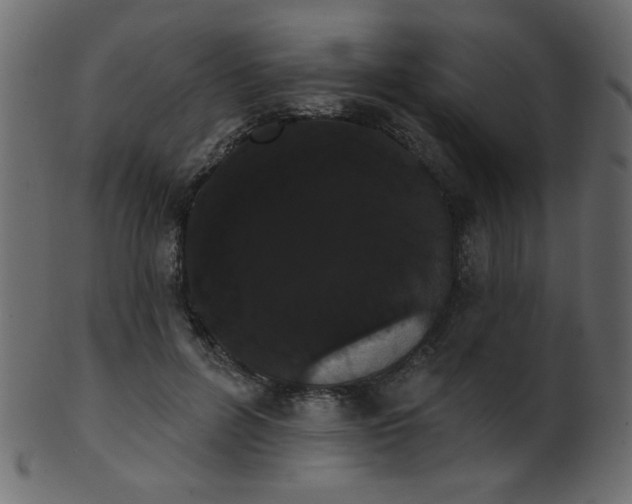 X0000101980600200807181126