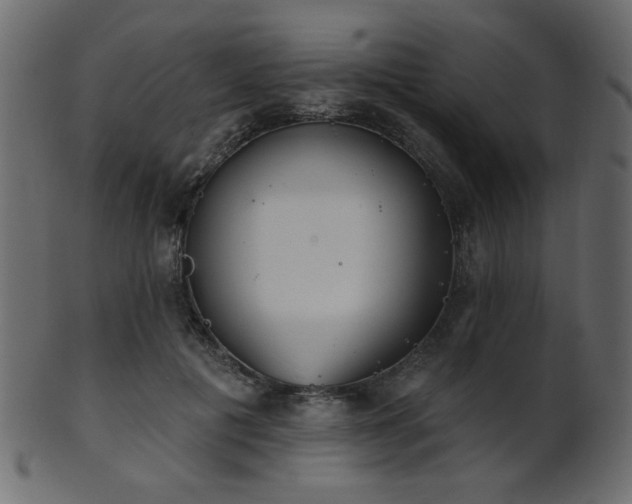 X0000101980601200807181126