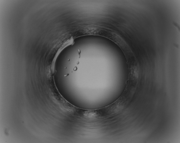 X0000101980602200807181126