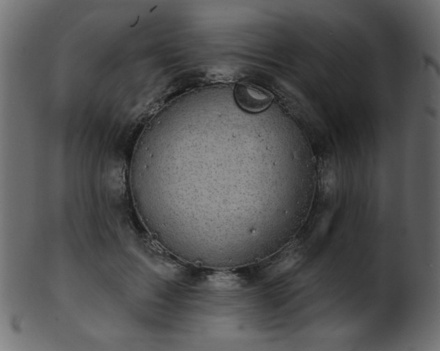 X0000101980603200807181126