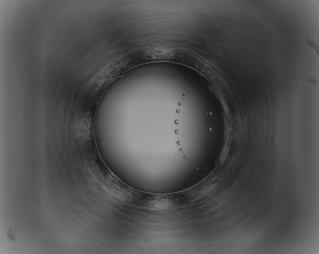 X0000101980604200807181126