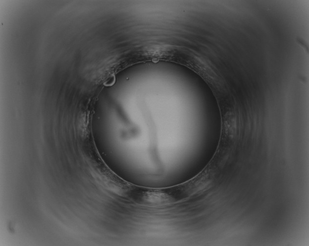 X0000101980605200807181126