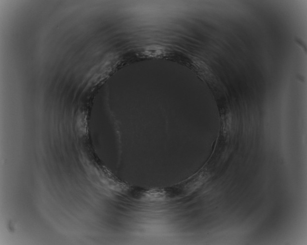 X0000101980606200807181126