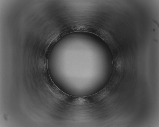 X0000101980607200807181126