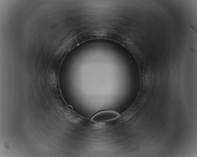 X0000101980609200807181126