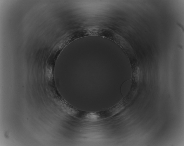 X0000101980610200807181126