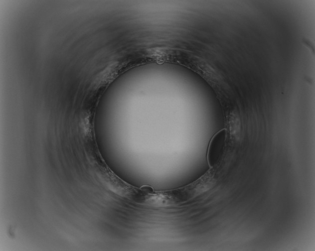 X0000101980611200807181126