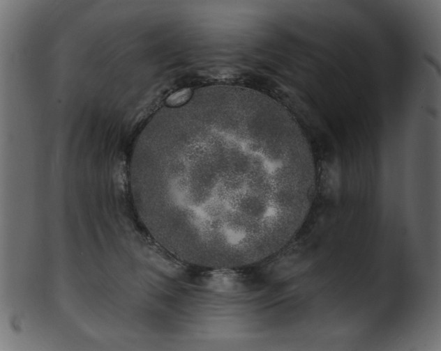 X0000101980612200807181126