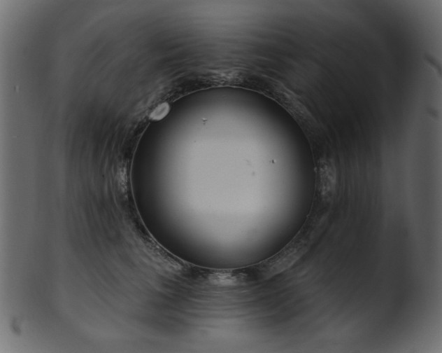 X0000101980613200807181126