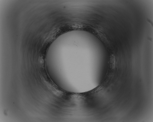 X0000101980614200807181126