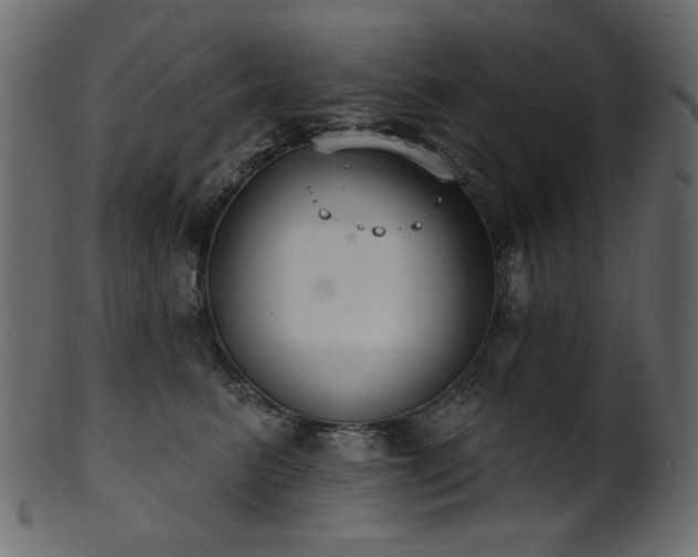 X0000101980615200807181126