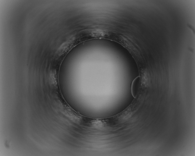 X0000101980616200807181126