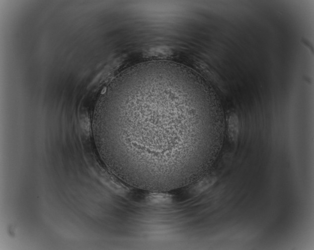 X0000101980617200807181126