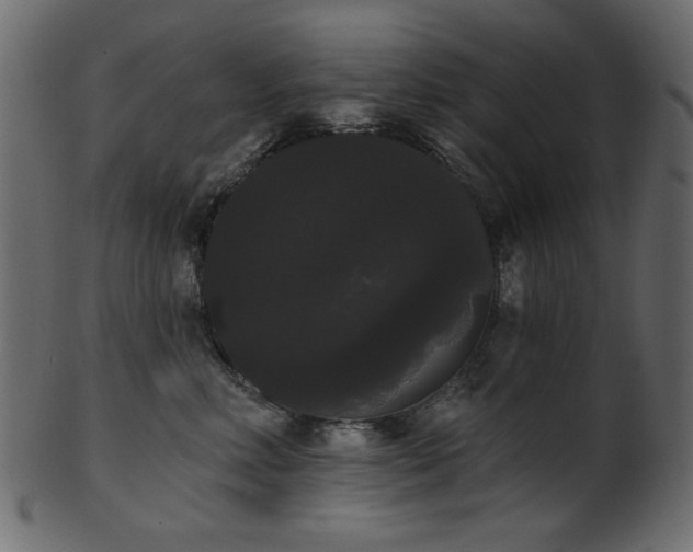 X0000101980618200807181126