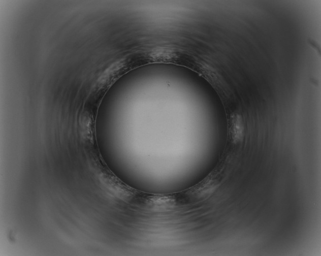 X0000101980619200807181126