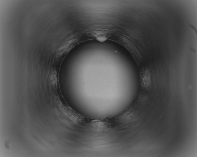 X0000101980620200807181126