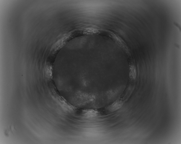 X0000101980621200807181126