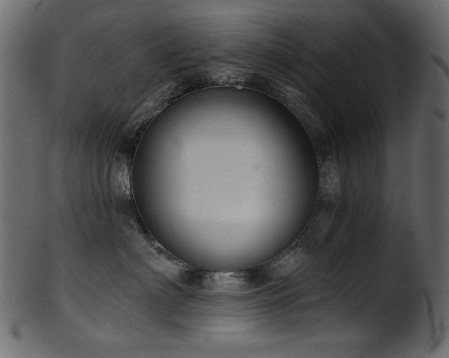 X0000101980622200807181126