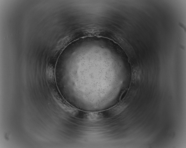 X0000101980623200807181126