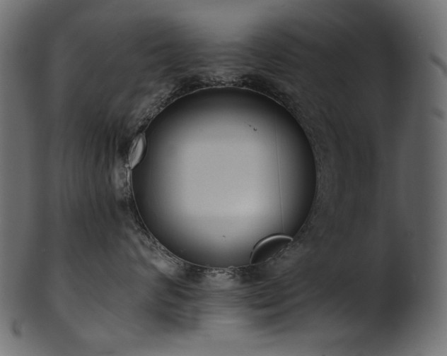 X0000101980624200807181126