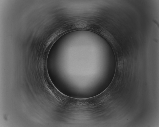 X0000101980626200807181125