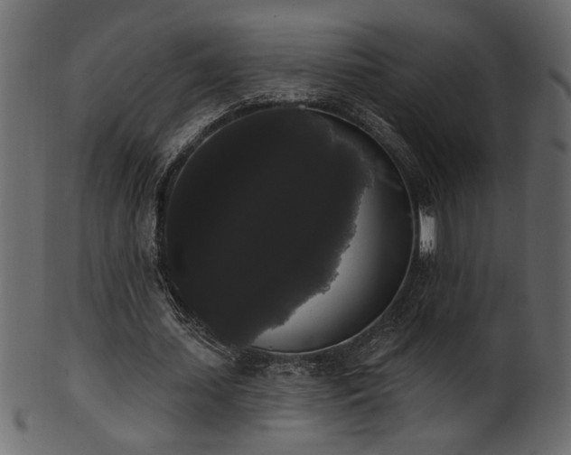 X0000101980627200807181125