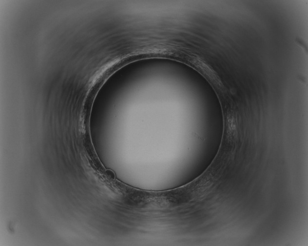 X0000101980628200807181125