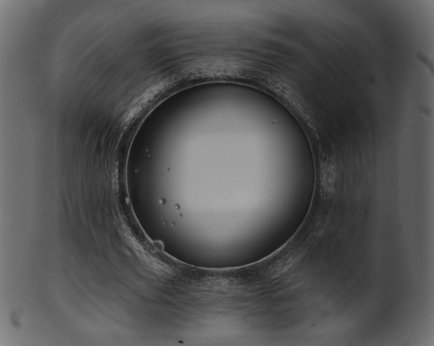 X0000101980629200807181125