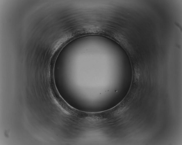 X0000101980630200807181125