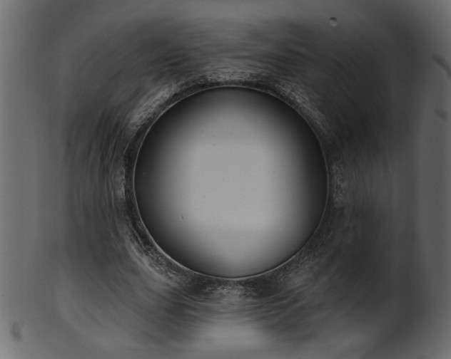 X0000101980631200807181126