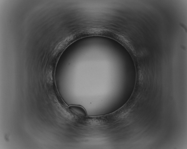 X0000101980633200807181126