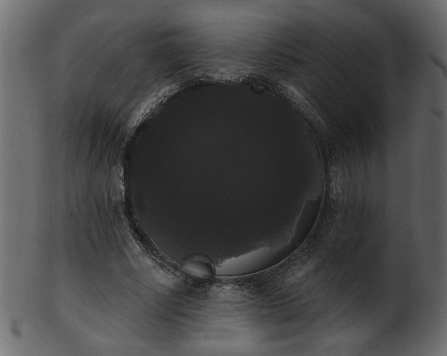 X0000101980634200807181126