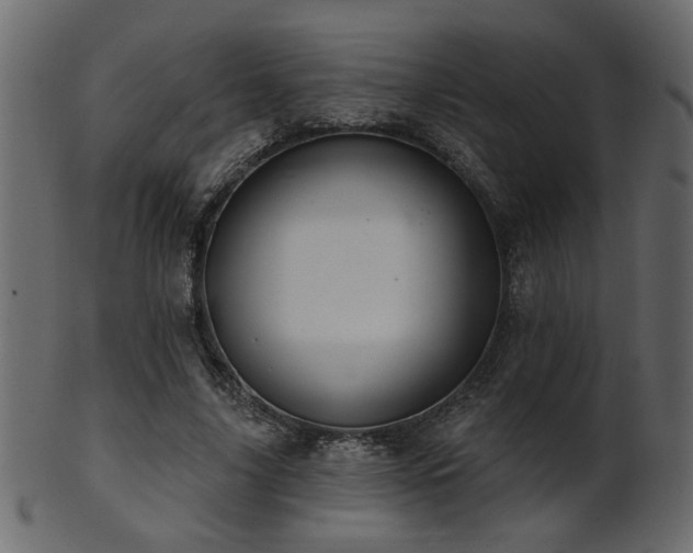 X0000101980635200807181126