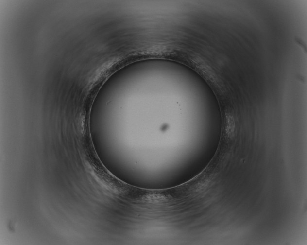 X0000101980636200807181126