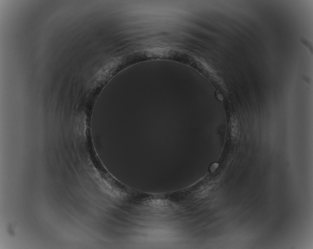 X0000101980637200807181126