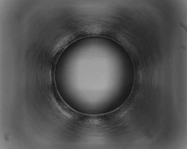 X0000101980638200807181126