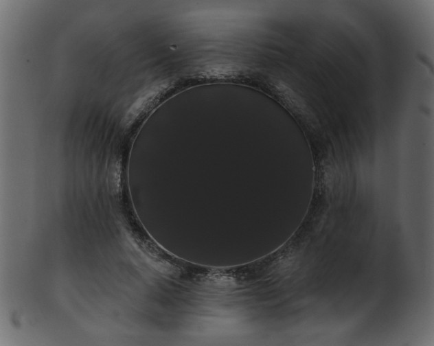 X0000101980640200807181126