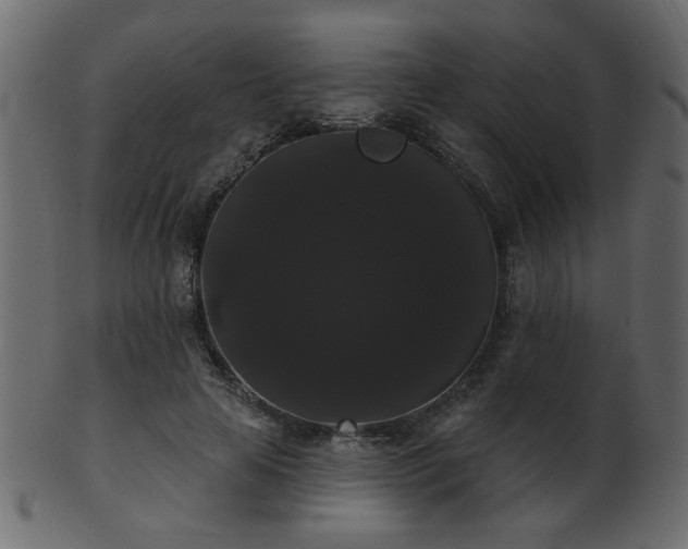 X0000101980641200807181126