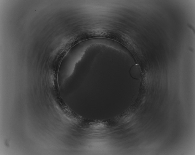 X0000101980643200807181126