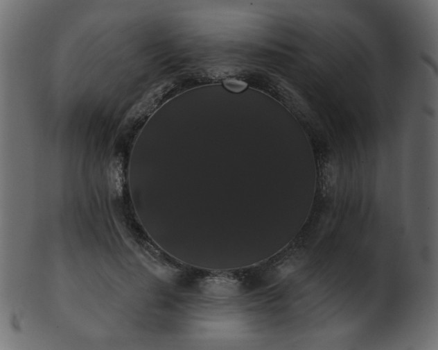 X0000101980644200807181126