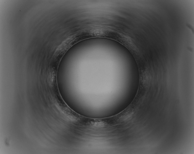 X0000101980645200807181126