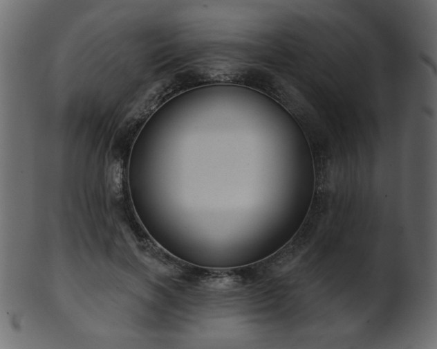 X0000101980646200807181126