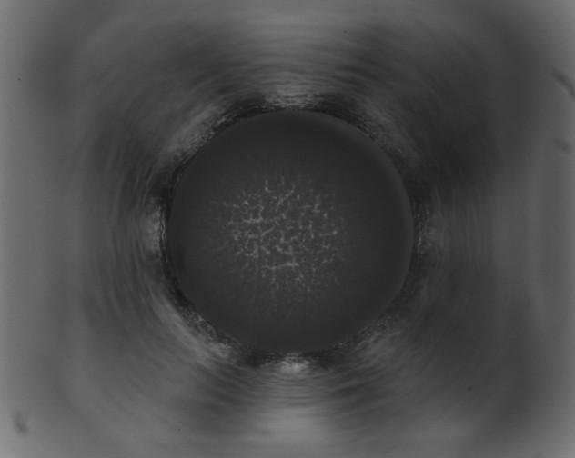 X0000101980647200807181126