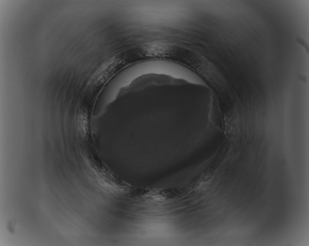 X0000101980648200807181126