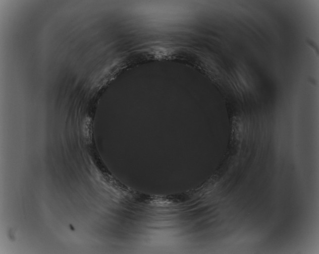 X0000101980650200807181126